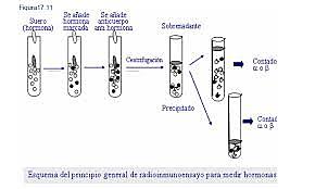 R. Yalow desarrollo de la técnica radioinmunoensayo