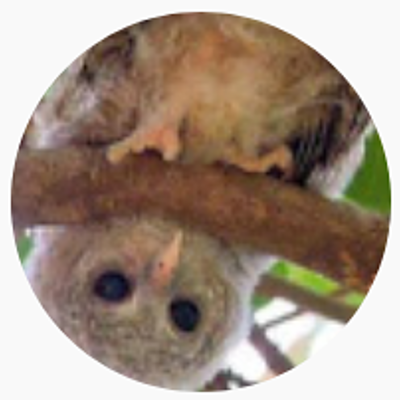 Timeline: My Learning Diary -16 settembre