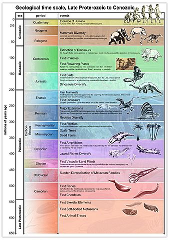 Geologic eras