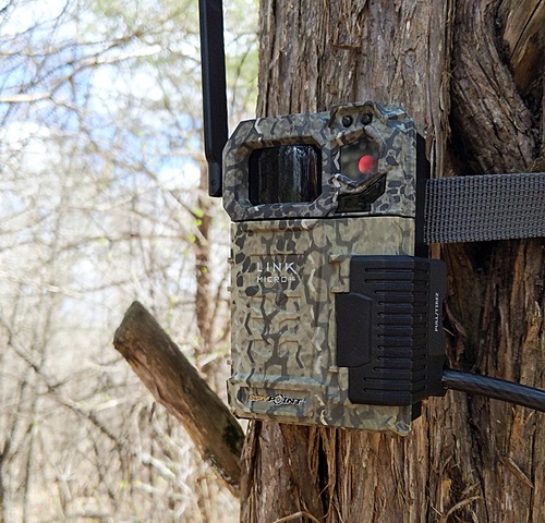 cellular trail cameras