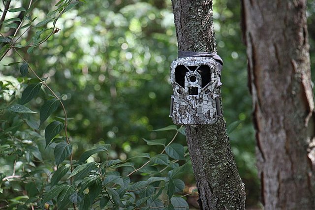 first trail camera