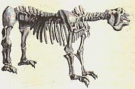 -El significado de los Fósiles. Georges Cuvier.