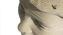 Timeline: Estado del arte de la antropología del deporte