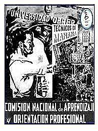 CNAOP y su Creación