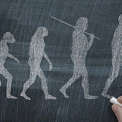 Timeline: LINEA DE TIEMPO EVOLUCIÓN HUMANA