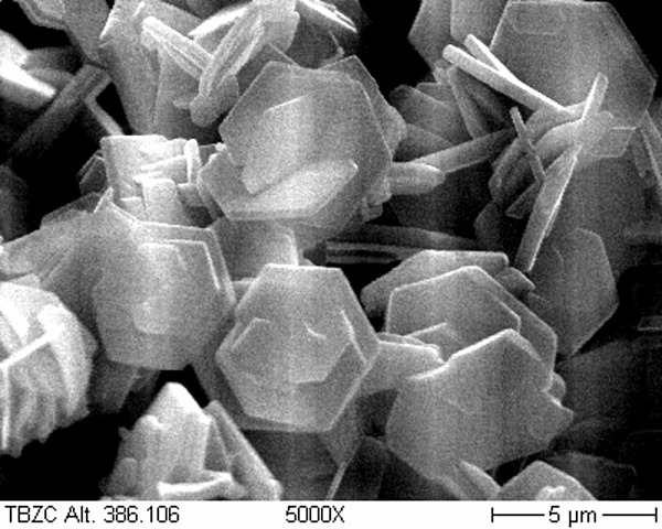 Introduciion del oxicloruro de zinc