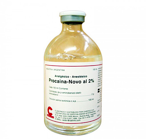Procaína anestesia elegida