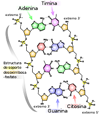 Bioquímica y biología molecular