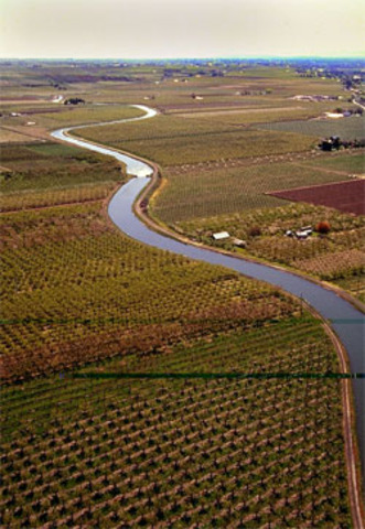 Discovery of Agriculture ~ 6000 B.C.