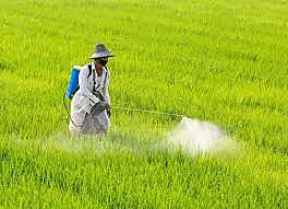 Prosperity on the Farm