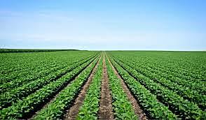 Modernization and Farmers