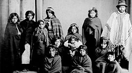 Timeline: Linea del tiempo desarrollo familiar siglo XX