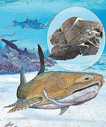 Surgimento das Mandíbulas