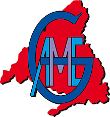 Asociación Madrileña de Enfermería Gerontológica.