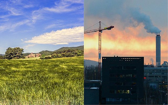 Patrones de muerte en zonas rurales y urbanas