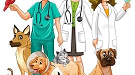 Timeline: Historia de la Medicina Veterinaria y Zootecnia