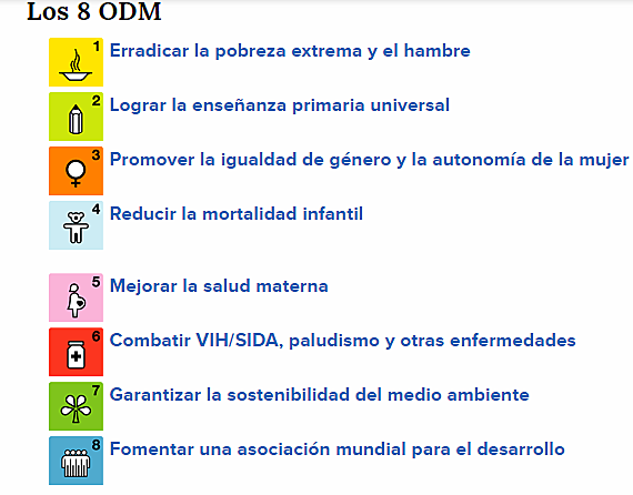 DECLARACIÓN DEL MILENIO