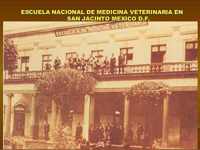 Escuela de veterinaria en México