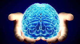 Timeline:  La Neuropsicología en el tiempo