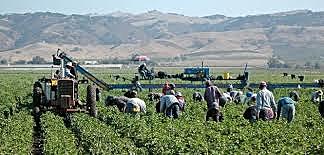 Advocacy for Farmers