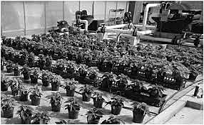 Agricultural Experiment Stations