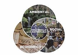 Término Desarrollo Sustentable
