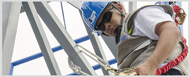 RESOLUCION 1409 DE 2012