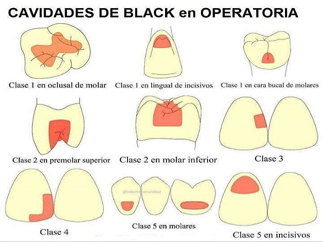 Nomenclatura por Black