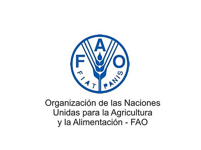 Fundación de la FAO