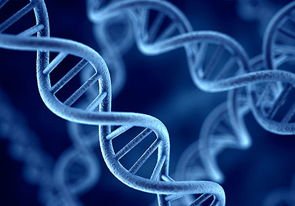 BIOLOGÍA MOLECULAR.