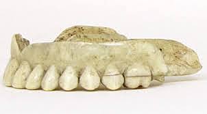 Dentadura de pocerlana.