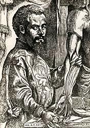 ANDRÉS VESALIO (1511-1564)