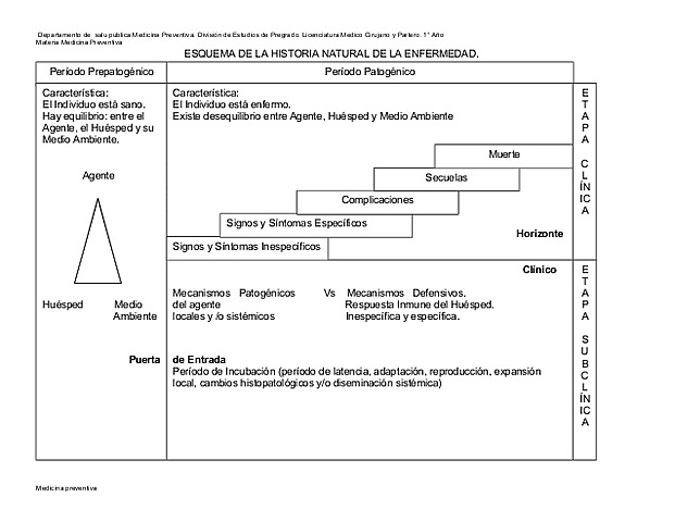 Leavel y Clarck a mediados del siglo XX