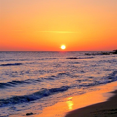 Timeline: La vida de Mar Casasayas