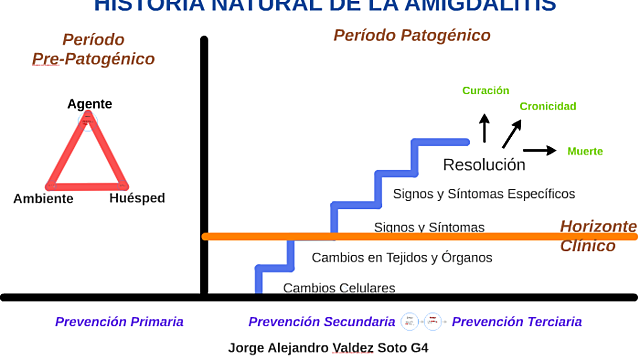 Modelo "Historia natural de la enfermedad"