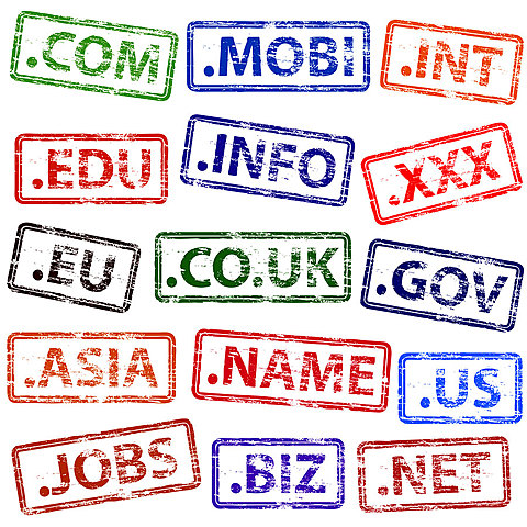 Se crean y se introducen los dominios