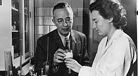 Timeline: P1-L'HOME I LA DONA A LA CIÈNCIA