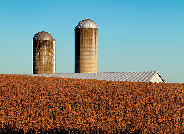 Virginia's Agriculture