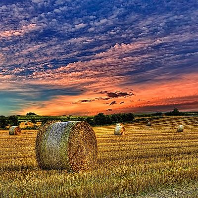 Timeline: 1970 – 1990