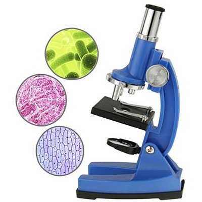 Timeline: Desarrollo histórico del microscopio, Montserrat Olvera García