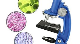 Timeline: Desarrollo histórico del microscopio, Montserrat Olvera García