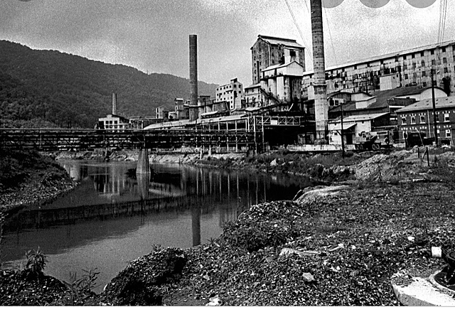 Establishing Environmental protection agency