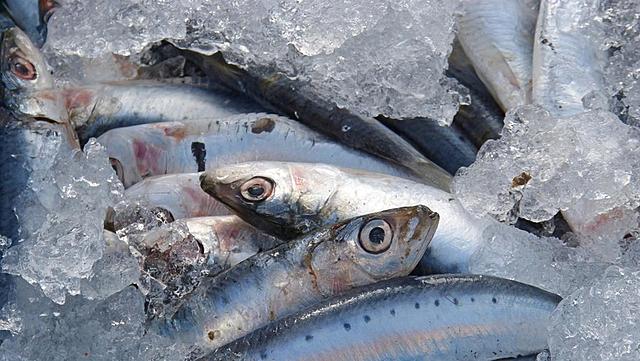 Deixo de menjar peix