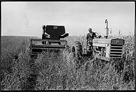 Population and Productivity