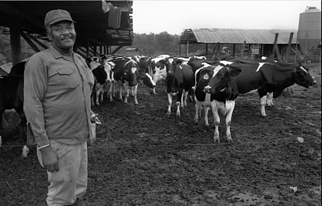 Population and Productivity