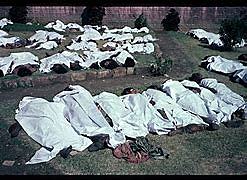 Bhopal Poison Gas Leaks