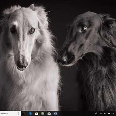 Timeline: Attori cani