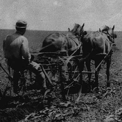 Timeline: 1970- 1999 Ag