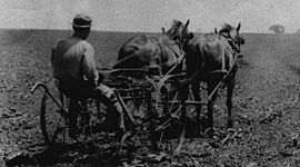 Timeline: 1970- 1999 Ag