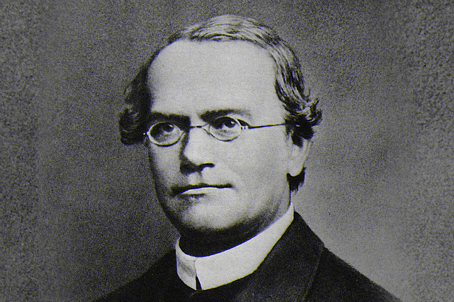 Gregor Mendel